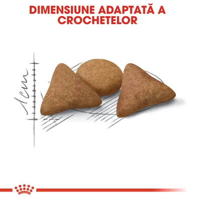 Dimensiune adaptată a crochetelor, imagine cu trei crochete de forme diferite și o scală de 1 cm pentru comparație vizuală a mărimii.