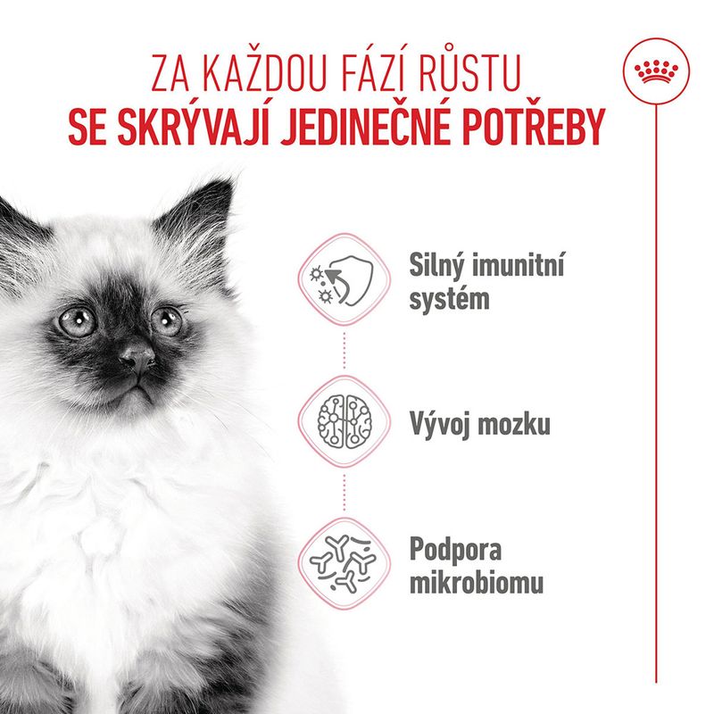 Royal Canin Kitten