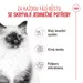 Royal Canin Kitten