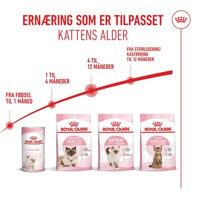 Royal Canin Kitten Royal Canin Kitten