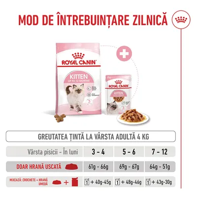 Tabel de hrănire pentru Royal Canin Kitten până la 12 luni: cantități recomandate de hrană uscată și umedă în funcție de vârstă, în luni, greutate țintă 4 kg.