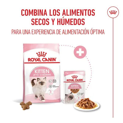 Royal Canin Kitten en salsa