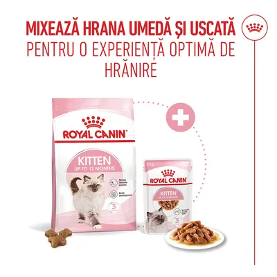 Royal Canin pisoi până la 12 luni hrană uscată și hrană umedă, Notă: combinație de hrană umedă și hrană uscată pentru o experiență optimă de hrănire.