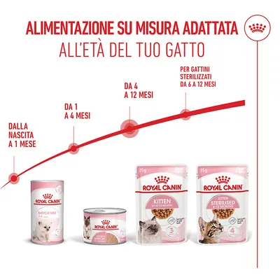 Royal Canin Kitten in Salsa