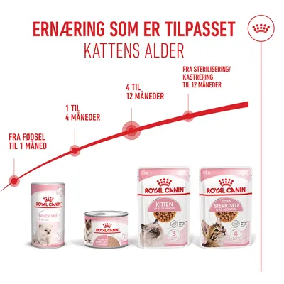 Royal Canin Kitten i saus