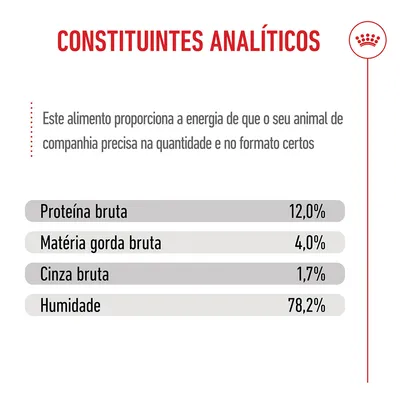 Royal Canin Kitten em molho