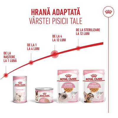 Produse Royal Canin pentru pisici: Babycat Milk, hrană umedă și hrană pentru pisoi. Recomandare temporală: de la naștere până la 1 lună, 1-4 luni, 4-12 luni, după sterilizare de la 12 luni. Produse Royal Canin pentru pisici: Babycat Milk, hrană umedă și hrană pentru pisoi. Recomandare temporală: de la naștere până la 1 lună, 1-4 luni, 4-12 luni, după sterilizare de la 12 luni.