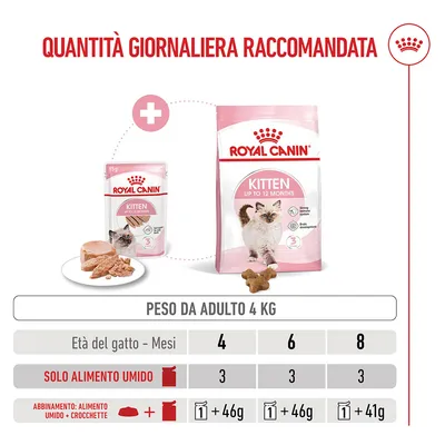 Royal Canin Kitten umido in Mousse per gatti
