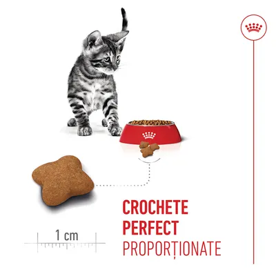 Crochetă de hrană pentru pisici cu scară de 1 cm, bol roșu pentru hrană cu crochete, text: CROCHETE PERFECT PROPORȚIONATE. Crochetă de hrană pentru pisici cu scară de 1 cm, bol roșu pentru hrană cu crochete, text: CROCHETE PERFECT PROPORȚIONATE.