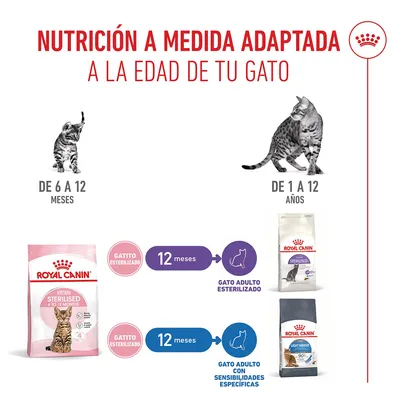 Royal Canin Kitten Sterilised