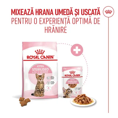Royal Canin Kitten Sterilised 6 până la 12 luni hrană uscată și hrană umedă, recomandare: combinație pentru o experiență optimă de hrănire. Royal Canin Kitten Sterilised 6 până la 12 luni hrană uscată și hrană umedă, recomandare: combinație pentru o experiență optimă de hrănire.