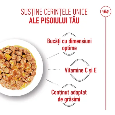 Castron cu bucăți de carne, Text: Bucăți de dimensiune optimă, vitamine C și E, conținut de grăsimi adaptat.