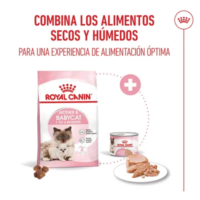 Royal Canin Mother & Babycat Royal Canin Mother & Babycat