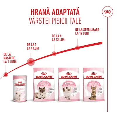 Produse de hrană pentru pisici Royal Canin pentru diferite etape de vârstă: Babycat Milk, Mother & Babycat, pisoi până la 12 luni, pisoi sterilizat. Indicații de timp de la naștere până la 12 luni. Produse de hrană pentru pisici Royal Canin pentru diferite etape de vârstă: Babycat Milk, Mother & Babycat, pisoi până la 12 luni, pisoi sterilizat. Indicații de timp de la naștere până la 12 luni.