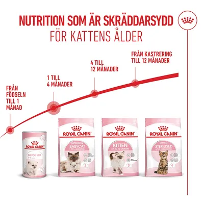 Royal Canin Mother & Babycat