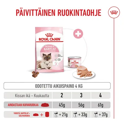 Ruokintataulukko Royal Canin Mother & Babycat -tuotteelle: suositellut kuiva- ja märkäruokamäärät kissanpennuille 2, 3 ja 4 kuukauden iässä, odotetulla 4, kg:n painolla.