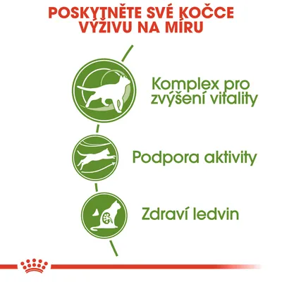 Poskytněte své kočce výživu na míru: Komplex pro zvýšení vitality, Podpora aktivity, Zdraví ledvin.