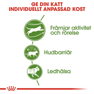 Ge din katt individuellt anpassad kost. Främjar aktivitet och rörelse, hudbarriär, ledhälsa.
