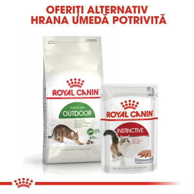 Pachet hrană uscată Royal Canin Active Life Outdoor și plic hrană umedă Royal Canin Instinctive 85 g pentru pisici. Text vizibil: Oferiți alternativ hrană umedă potrivită.