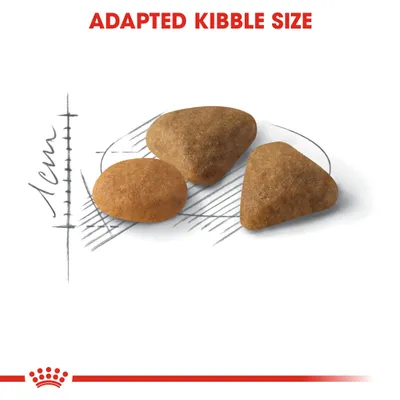 Image showing adapted kibble size with three pieces of dry food and a 1cm scale for reference.