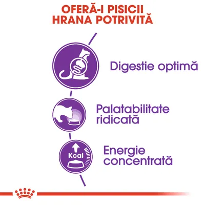 OFERĂ-I PISICII HRANA POTRIVITĂ. Digestie optimă. Palatabilitate ridicată. Energie concentrată.