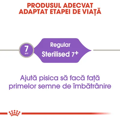 Produsul adecvat adaptat etapei de viață. 7 ani Regular Sterilised 7+. Ajută pisica să facă față primelor semne de îmbătrânire.