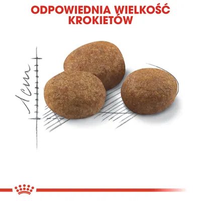 Trzy krokiety karmy o średnicy ok. 1 cm, tekst: Odpowiednia wielkość krokietów. Widoczna miarka centymetrowa obok produktu.