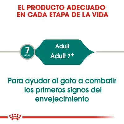 El producto adecuado en cada etapa de la vida. 7 años Adult Adult 7+. Para ayudar al gato a combatir los primeros signos del envejecimiento.