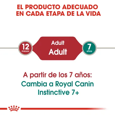 El producto adecuado en cada etapa de la vida. Adulto: de 12 meses a 7 años. A partir de los 7 años, cambia a Royal Canin Instinctive 7+. Texto en español e inglés.