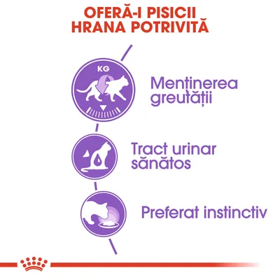Oferă-i pisicii hrana potrivită. Menținerea greutății, tract urinar sănătos, preferat instinctiv – text și pictograme mov pentru beneficii alimentare la pisici.