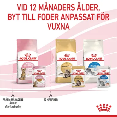 Text: Vid 12 månaders ålder, byt till foder anpassat för vuxna. Royal Canin Kitten Sterilised från 6 månader, byt till Maine Coon Adult eller Home Life Indoor vid 12 månader.