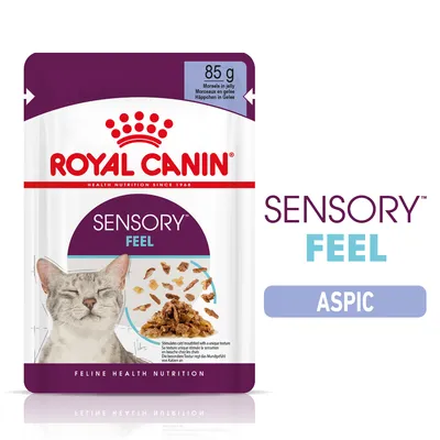 Royal Canin Sensory Feel în gelatină