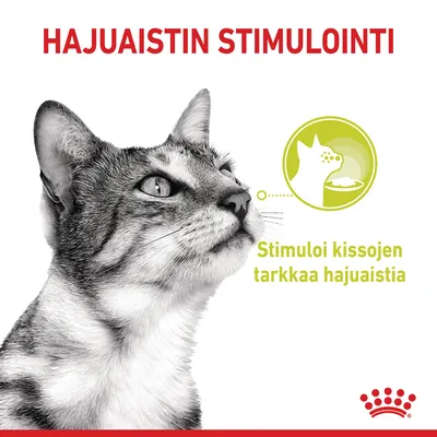 Teksti: HAJUAISTIN STIMULOINTI. Stimuloituu kissojen tarkkaa hajuaistia. Kuvassa kissa ja symboli, jossa kissan pää ja ruokakuppi. Royal Canin -brändin tunnus alareunassa.