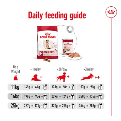 Daily feeding guide showing recommended dry and wet food amounts by dog weight and activity: 11kg, 16kg, 25kg with options for less than 1, 2, or more than 3 hours exercise per day.
