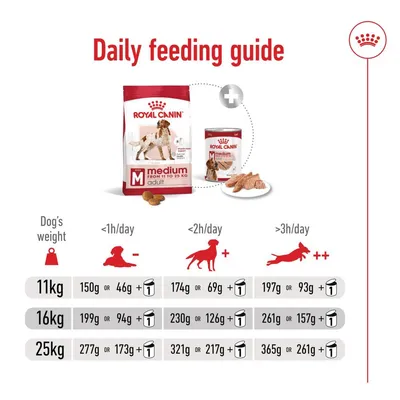 Daily feeding guide showing recommended food amounts for 11kg, 16kg, and 25kg dogs based on activity level, with options for dry or wet food plus one can per day.