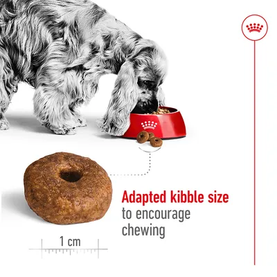 Image shows a pet eating from a bowl, with a close-up of kibble measuring 1 cm and text stating 'Adapted kibble size to encourage chewing'.