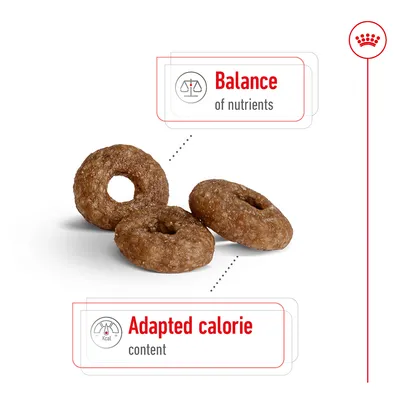 Kibble shown with highlighted features: balance of nutrients and adapted calorie content.