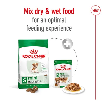 ROYAL CANIN mini ageing 12+ ξηρή και υγρή τροφή σκύλου, συσκευασίες με πράσινες λεπτομέρειες, προτροπή για ανάμειξη dry & wet food για καλύτερη διατροφή. Κείμενο στα αγγλικά.