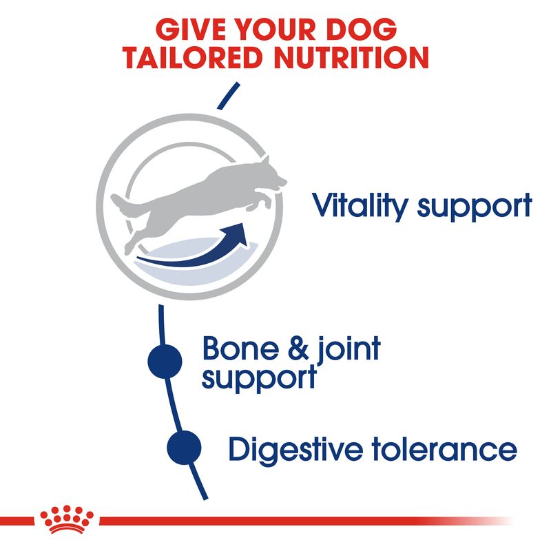 Текст на английском: GIVE YOUR DOG TAILORED NUTRITION, Vitality support, Bone & joint support, Digestive tolerance. Силуэт собаки и стрелка в круге.