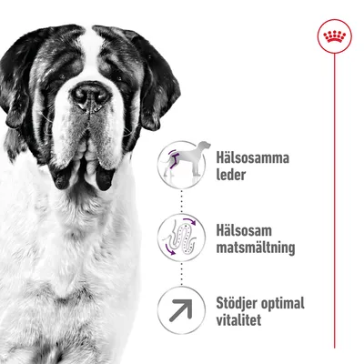 Text: Hälsosamma leder, Hälsosam matsmältning, Stödjer optimal vitalitet. Illustrationer av hund, tarmar och pil. Stor hund synlig till vänster. Röd krona upptill till höger.