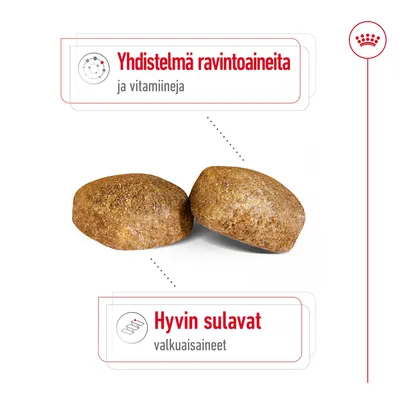 Kaksi ruskeaa nappulaa, tekstit: Yhdistelmä ravintoaineita ja vitamiineja, Hyvin sulavat valkuaisaineet.