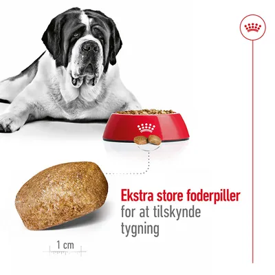 Stor hund ved skål med foderpiller, nærbillede af en stor foderpille målt til 1 cm. Tekst: Ekstra store foderpiller for at tilskynde tygning.