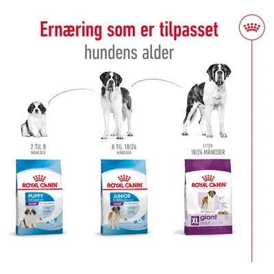 Royal Canin Giant Adult Royal Canin Giant Adult