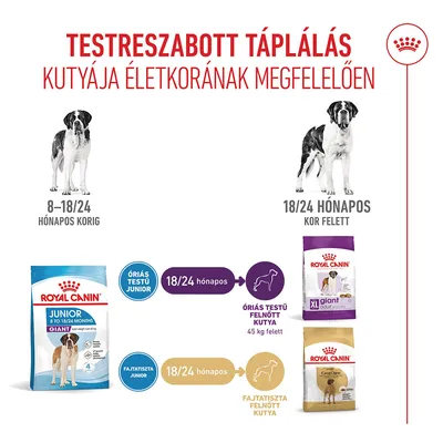 Royal Canin Giant Junior