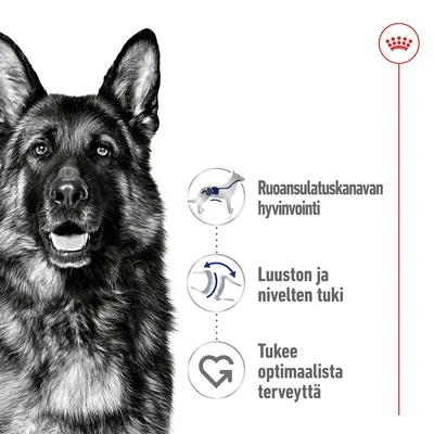 Koiran hyvinvointia kuvaavat kolme ominaisuutta: ruoansulatuskanavan hyvinvointi, luuston ja nivelten tuki, tukee optimaalista terveyttä. Royal Canin -brändimerkki näkyvissä.