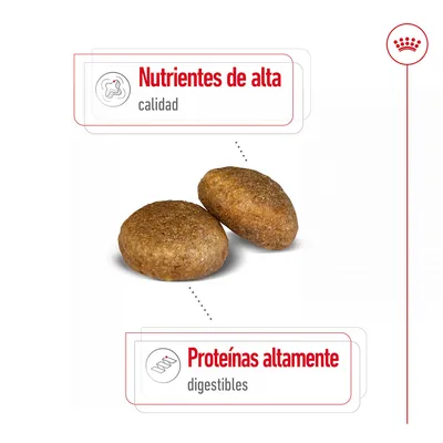 Dos croquetas de pienso con texto: 'Nutrientes de alta calidad' y 'Proteínas altamente digestibles'.
