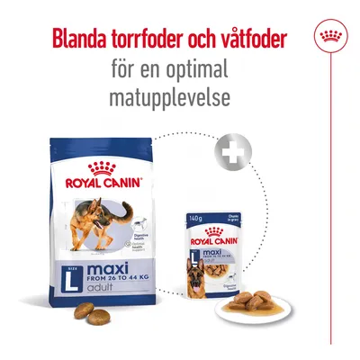 Blanda torrfoder och våtfoder för en optimal matupplevelse. Royal Canin maxi adult L, från 26 till 44 kg, syns som både torr- och våtfoderförpackning samt serverad portion.