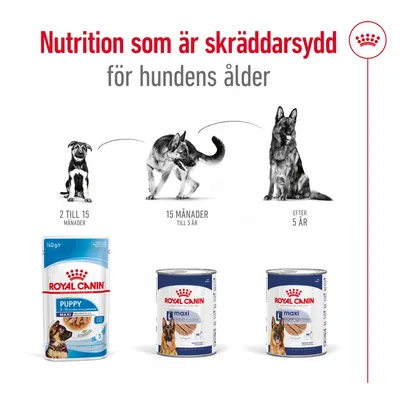 Royal Canin hundmat för olika åldrar: Puppy 2–15 månader, Maxi Adult 15 månader–5 år, Maxi Ageing efter 5 år. Text: Nutrition som är skräddarsydd för hundens ålder.