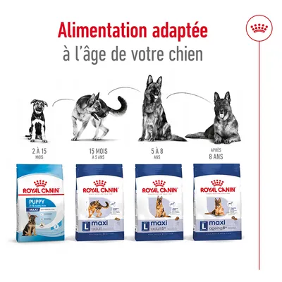 Alimentation adaptée à l’âge du chien : Royal Canin Puppy Maxi 2–15 mois, Maxi Adult 15 mois–5 ans, Maxi Adult 5+ 5–8 ans, Maxi Ageing 8+ après 8 ans. Chiens illustrés par âge.