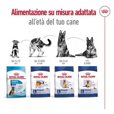 Royal Canin Puppy Maxi da 2 a 15 mesi, Maxi Adult da 15 mesi a 5 anni, Maxi Adult 5+ da 5 a 8 anni, Maxi Ageing 8+ dopo 8 anni. Alimentazione su misura per età del cane.